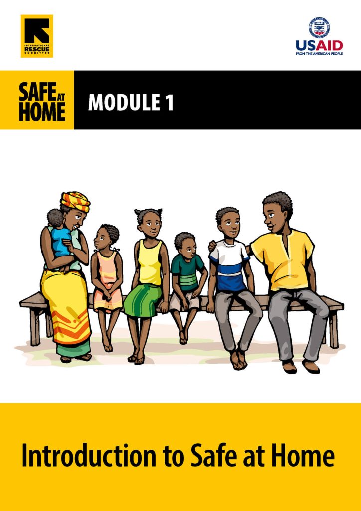 Cover of Introduction to Safe at Home